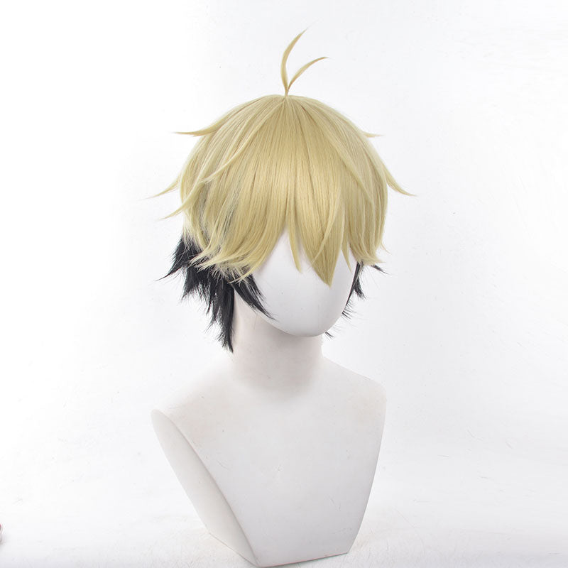 Anime Link Click Xia Fei Cosplay Wigs