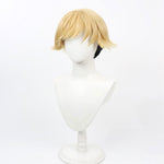 Sousou no Frieren Land Cosplay Wigs