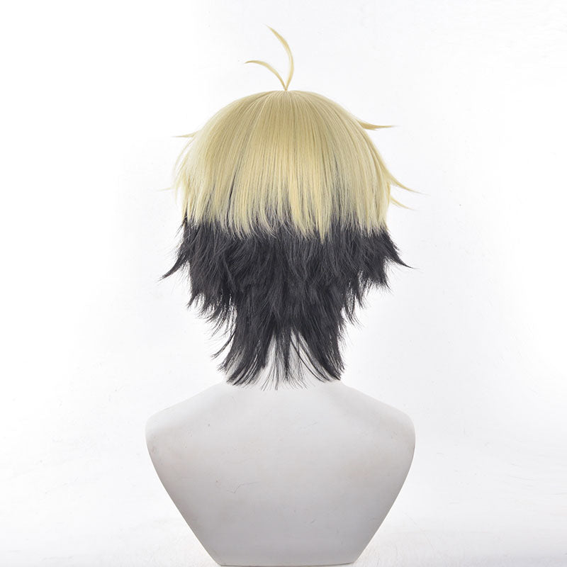 Anime Link Click Xia Fei Cosplay Wigs