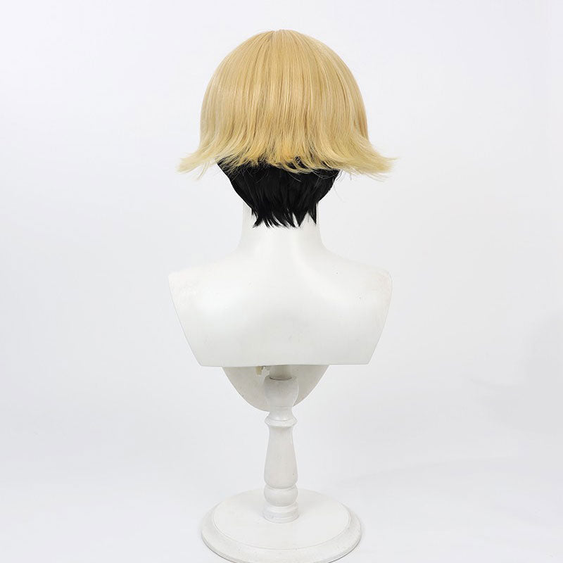 Sousou no Frieren Land Cosplay Wigs