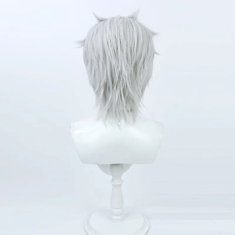 Mushoku Tensei Olsterd Cosplay Wigs