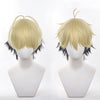 Anime Link Click Xia Fei Cosplay Wigs