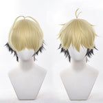 Anime Link Click Xia Fei Cosplay Wigs