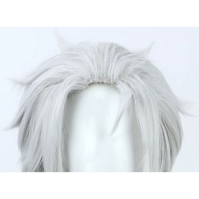 Mushoku Tensei Olsterd Cosplay Wigs