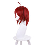 Shikkaku Mon no Saikyou Kenja Iris Halloween Cosplay Wigs