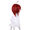 Shikkaku Mon no Saikyou Kenja Iris Halloween Cosplay Wigs